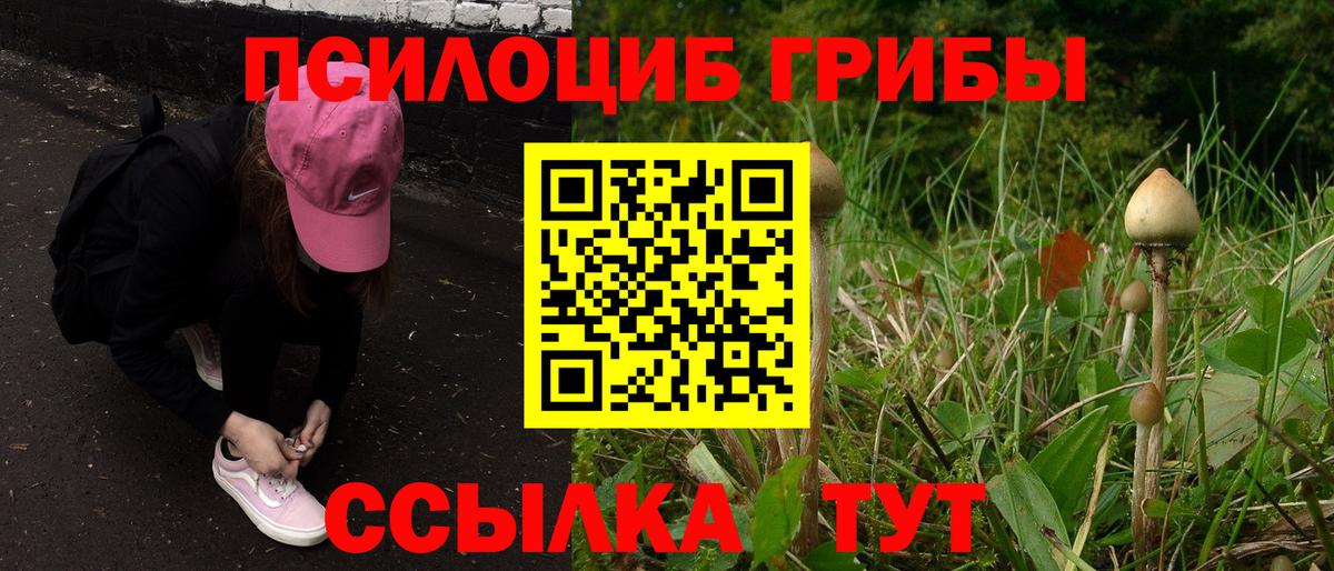 Меф   Канабис  Тихвин  COCAIN  Гашиш  Вход с VPN  ЭКСТАЗИ 